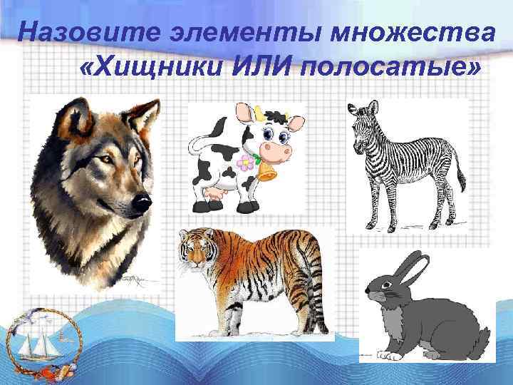 Назовите элементы множества «Хищники ИЛИ полосатые» 
