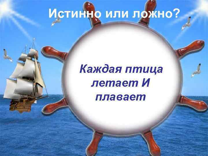 Истинно или ложно? Каждая птица летает И плавает 