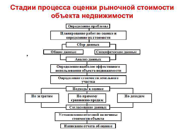 Организация процесса оценки. Этапы процесса оценки недвижимости. Этапы процесса оценки стоимости предприятия. Структуру процесса оценки. Стадии процесса оценки.