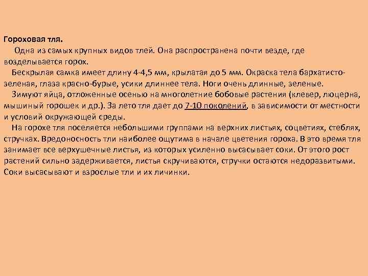 Гороховая тля. Одна из самых крупных видов тлей. Она распространена почти везде, где возделывается