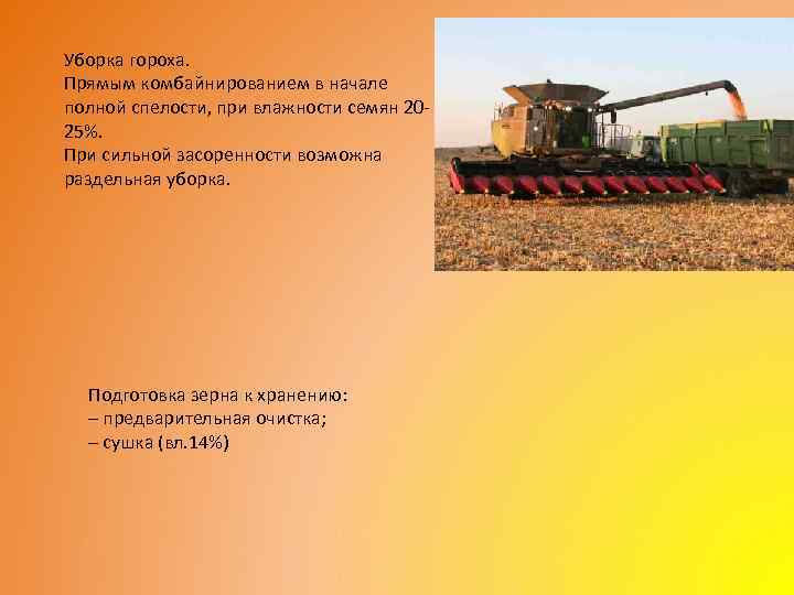 Уборка гороха. Прямым комбайнированием в начале полной спелости, при влажности семян 2025%. При сильной