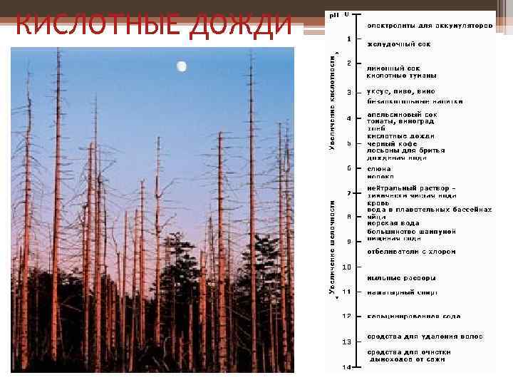 КИСЛОТНЫЕ ДОЖДИ 