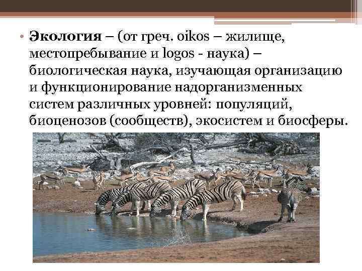  • Экология – (от греч. oikos – жилище, местопребывание и logos - наука)
