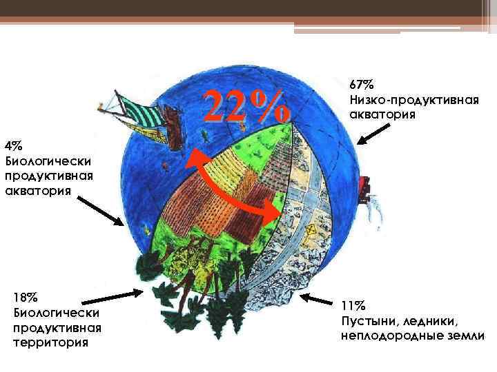 Экология в современном мире план. Биологически продуктивные земли. Площадь биологически продуктивной территории и акватории. Биологически продуктивные простыми словами. Современные экологические системы Рязань.