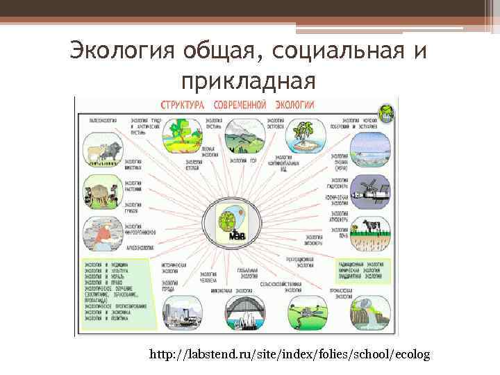 Экология общая, социальная и прикладная http: //labstend. ru/site/index/folies/school/ecolog 