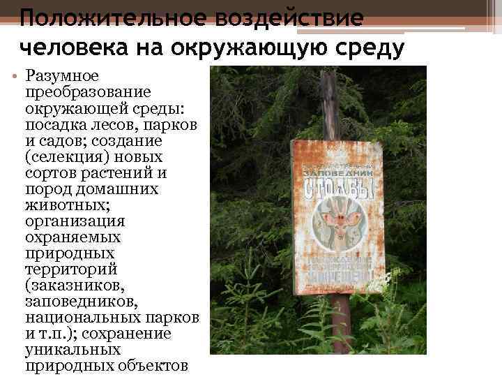 Положительное воздействие человека на окружающую среду • Разумное преобразование окружающей среды: посадка лесов, парков