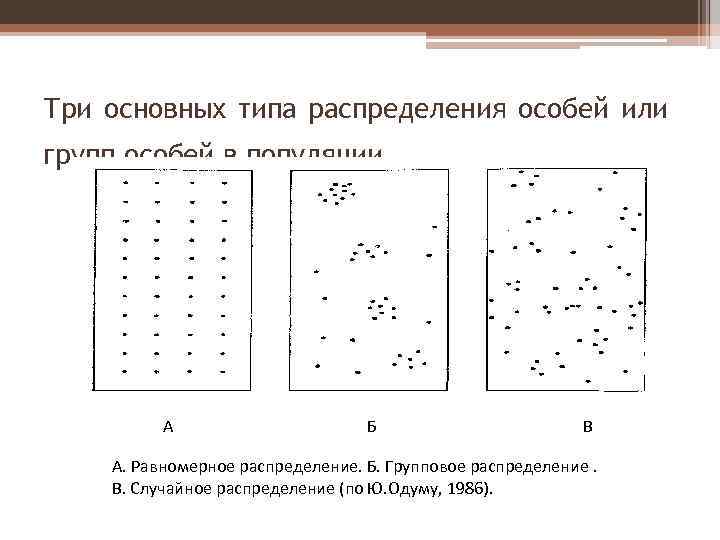 Тип пространственного распределения особей популяции представленный на рисунке характеризуется как