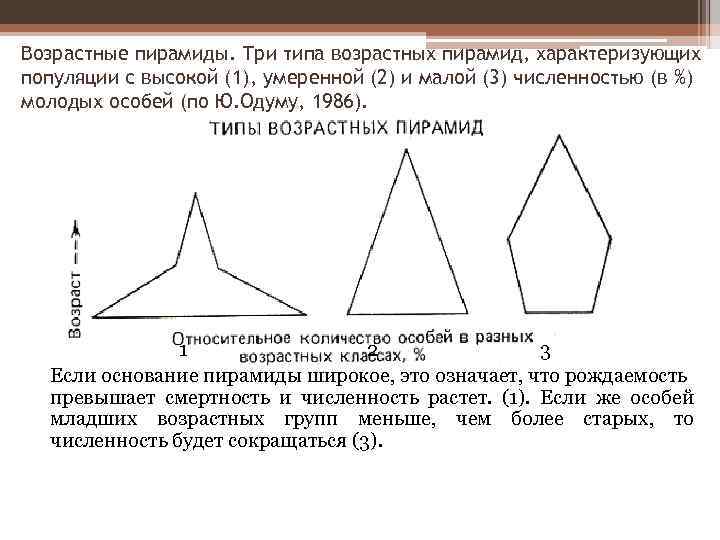 Возраст пирамид. Возрастная структура популяции пирамиды возрастов. Возрастные пирамиды экология. Пирамида возрастов это в экологии. Типы возрастных пирамид.