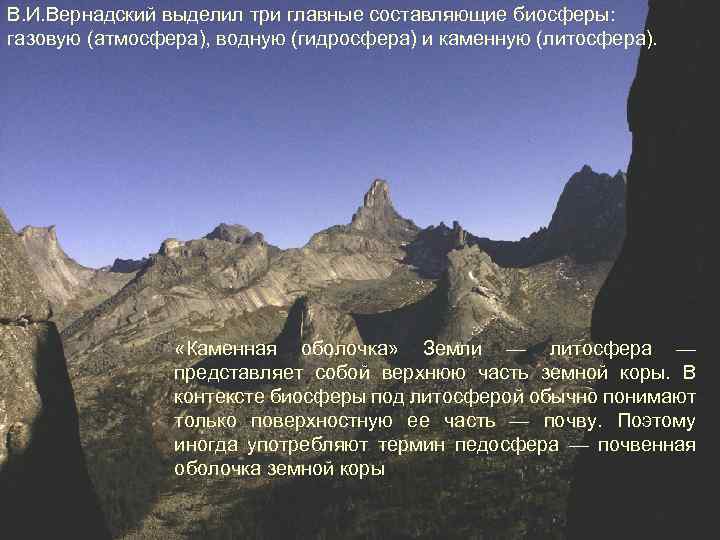 В. И. Вернадский выделил три главные составляющие биосферы: газовую (атмосфера), водную (гидросфера) и каменную