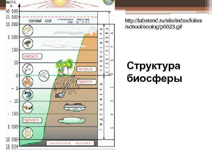 4 биосфера