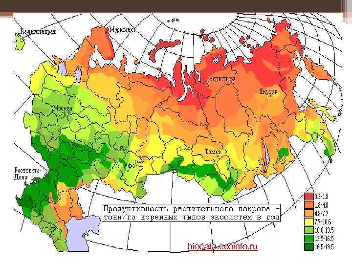 biodata. ecoinfo. ru 