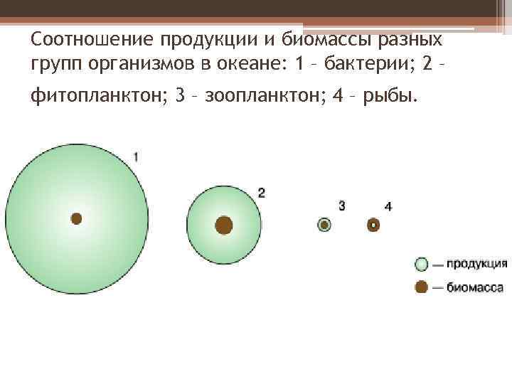 Диаграмма соотношения биомассы растений и животных в океане