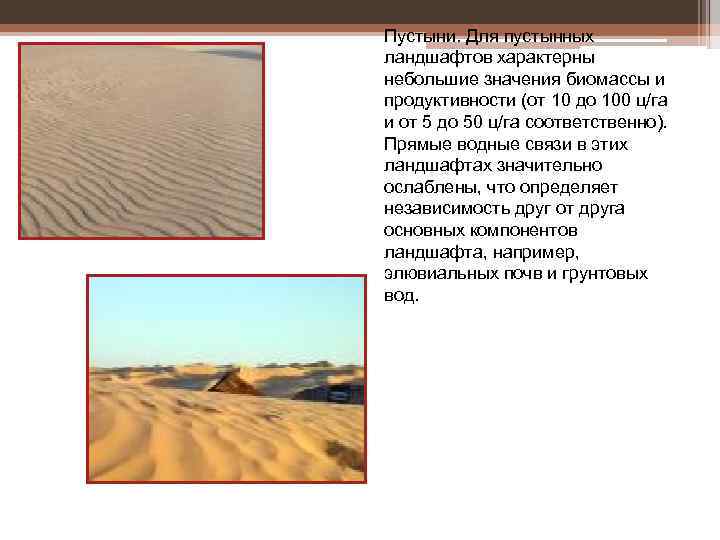 Пустыни. Для пустынных ландшафтов характерны небольшие значения биомассы и продуктивности (от 10 до 100