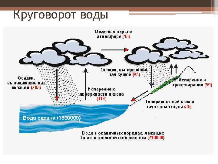 Круговорот воды 