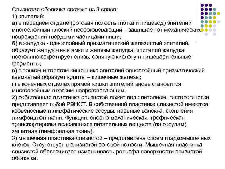 Слизистая оболочка состоит из 3 слоев: 1) эпителий: а) в переднем отделе (ротовая полость