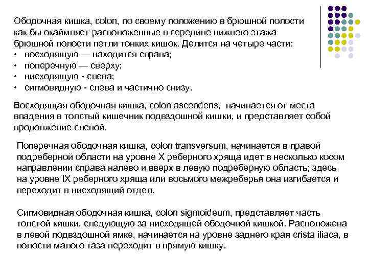 Ободочная кишка, colon, по своему положению в брюшной полости как бы окаймляет расположенные в