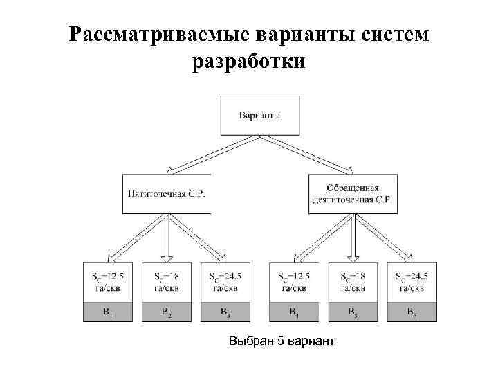 Рассматриваемые варианты систем разработки Выбран 5 вариант 