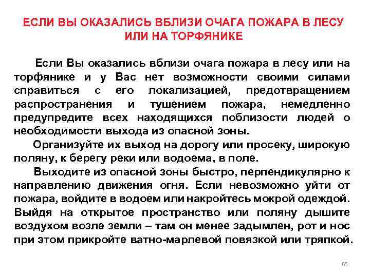 При нахождении в очаге лесного пожара. Правила поведения в очаге лесного пожара. Правила поведения в очаге возгорания. Правила поведения при пожаре в лесу кратко. Действия в очаге пожара в лесу.