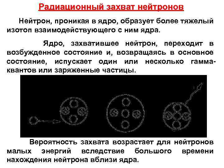 Радиационный захват нейтронов Нейтрон, проникая в ядро, образует более тяжелый изотоп взаимодействующего с ним
