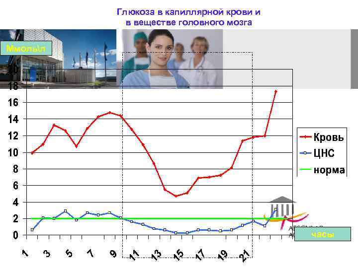 Глюкоза в капиллярной крови и в веществе головного мозга Ммольл часы 