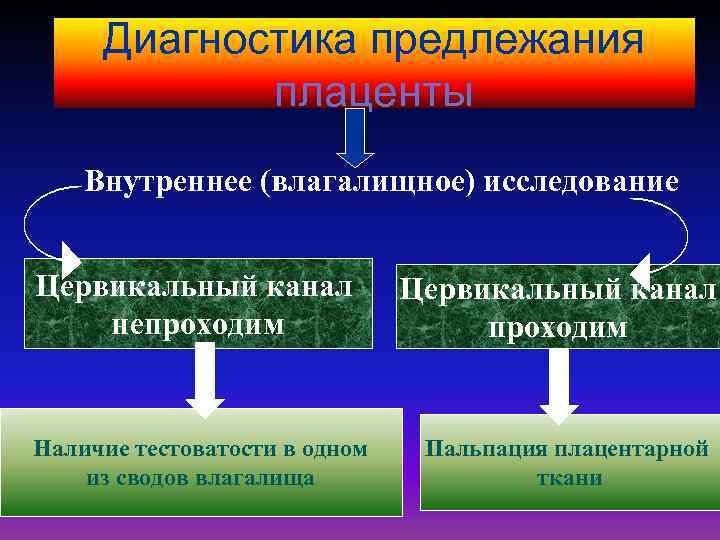 Диагностика предлежания плаценты Внутреннее (влагалищное) исследование Цервикальный канал непроходим Наличие тестоватости в одном из