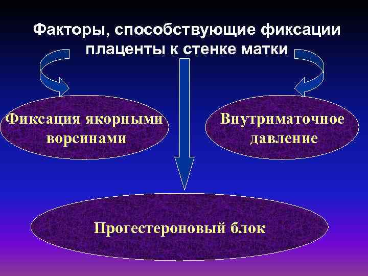 Факторы, способствующие фиксации плаценты к стенке матки Фиксация якорными ворсинами Внутриматочное давление Прогестероновый блок