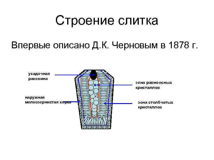 Строение слитка Впервые описано Д. К. Черновым в 1878 г. усадочная раковина наружная мелкозернистая