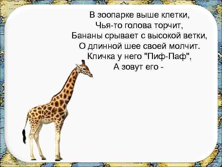 В зоопарке выше клетки, Чья-то голова торчит, Бананы срывает с высокой ветки, О длинной
