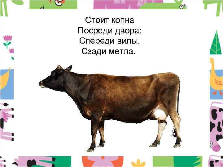 Стоит копна Посреди двора: Спереди вилы, Сзади метла. 