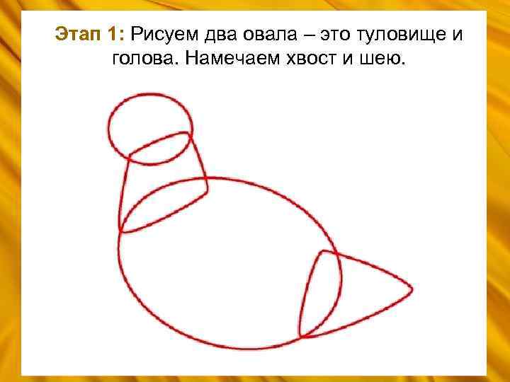 Этап 1: Рисуем два овала – это туловище и голова. Намечаем хвост и шею.