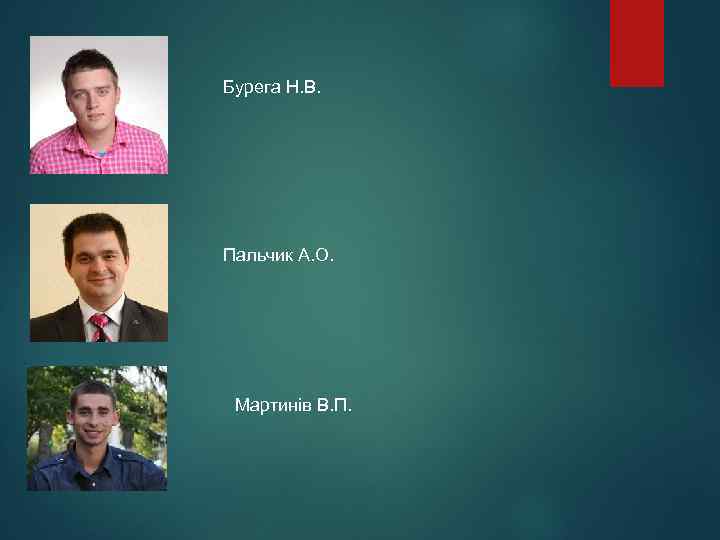 Бурега Н. В. Пальчик А. О. Мартинів В. П. 