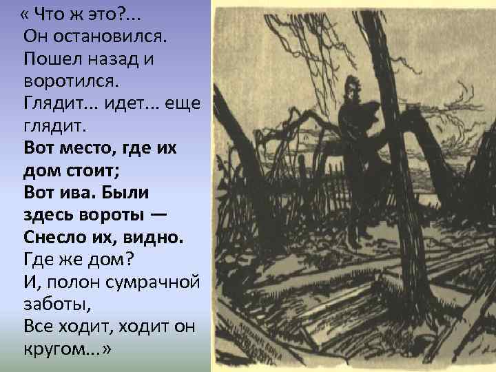  « Что ж это? . . . Он остановился. Пошел назад и воротился.