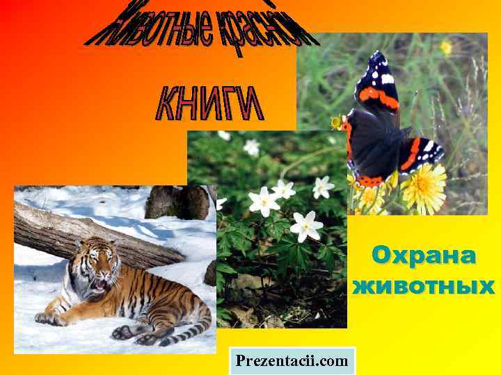 Охрана животных Prezentacii. com 