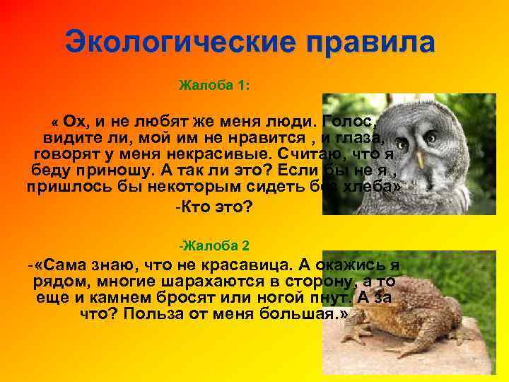Экологические правила Жалоба 1: « Ох, и не любят же меня люди. Голос, видите
