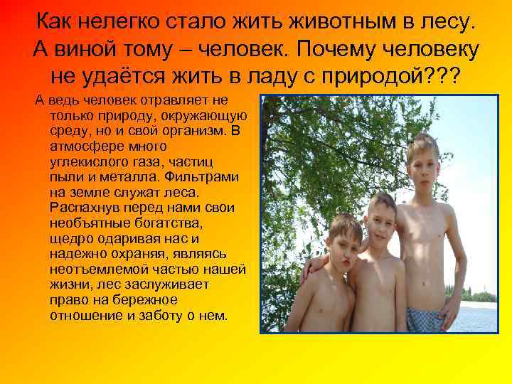 Как нелегко стало жить животным в лесу. А виной тому – человек. Почему человеку