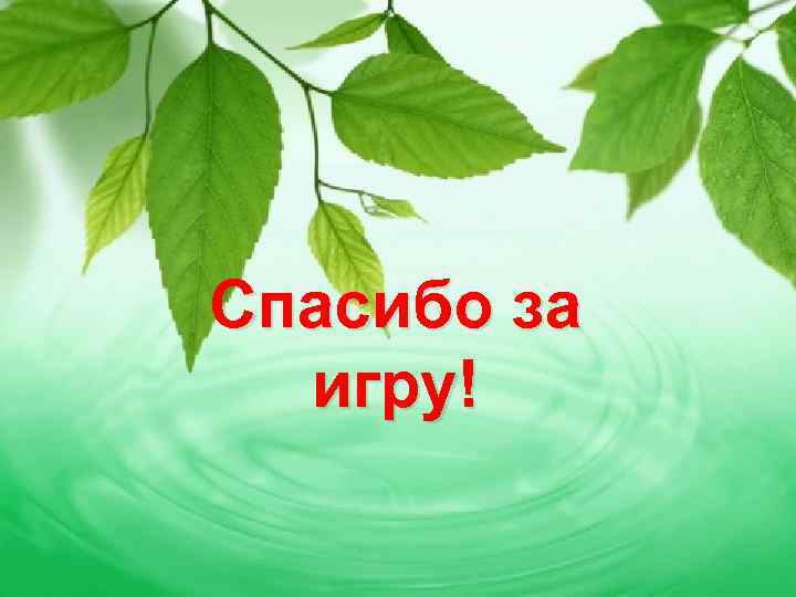 Спасибо за игру! 