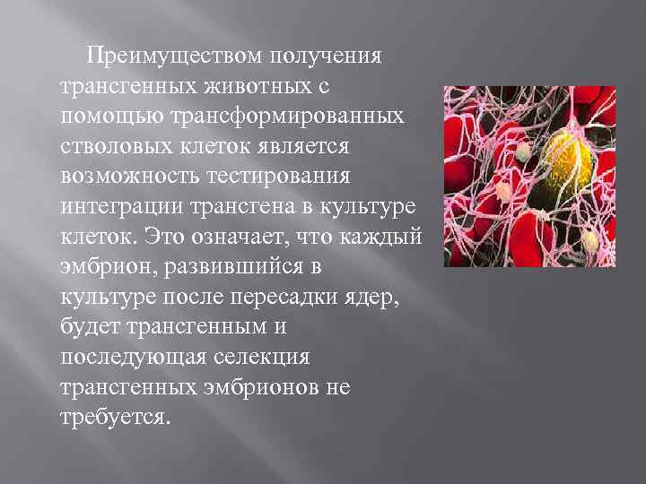 Преимуществом получения трансгенных животных с помощью трансформированных стволовых клеток является возможность тестирования интеграции трансгена