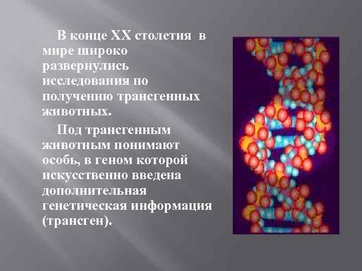 В конце XX столетия в мире широко развернулись исследования по получению трансгенных животных. Под