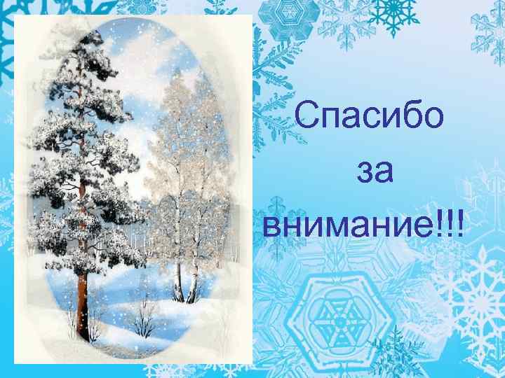 Спасибо за внимание!!! 