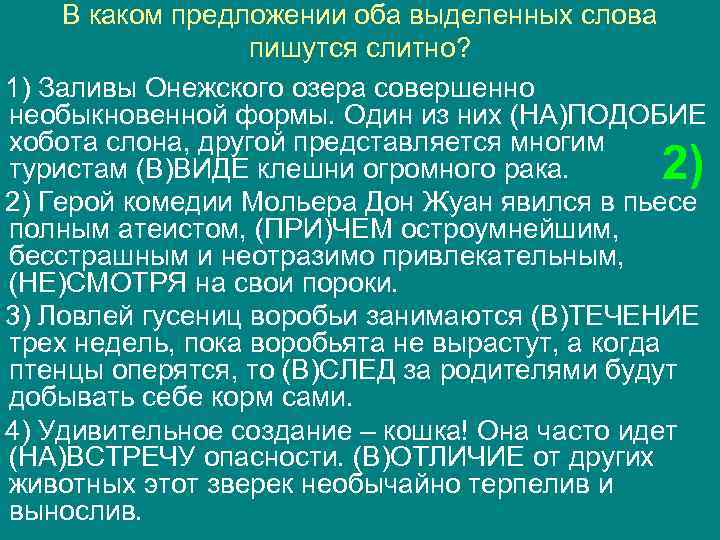 В каком предложении оба выделенных слова пишутся слитно? 1) Заливы Онежского озера совершенно необыкновенной