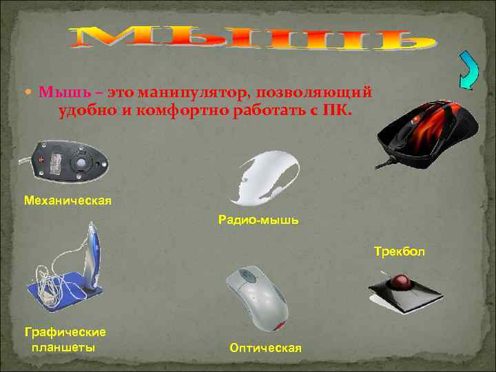  Мышь – это манипулятор, позволяющий удобно и комфортно работать с ПК. Механическая Радио-мышь