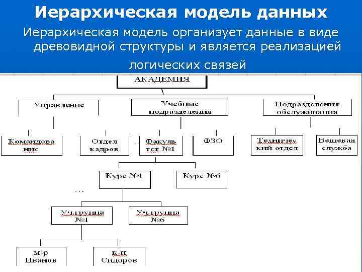 Иерархическая модель данных Иерархическая модель организует данные в виде древовидной структуры и является реализацией