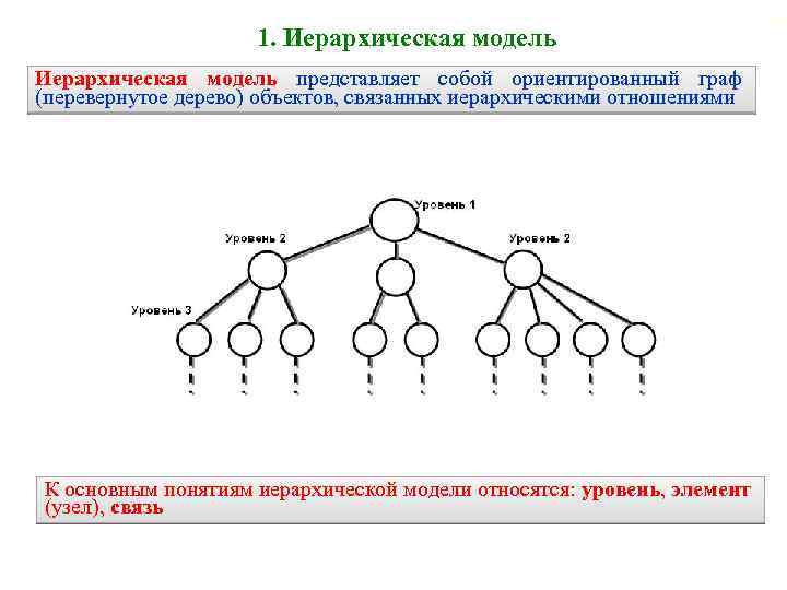 1. Иерархическая модель представляет собой ориентированный граф (перевернутое дерево) объектов, связанных иерархическими отношениями К