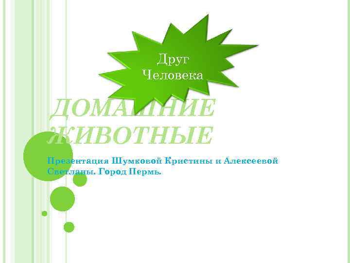 Друг Человека ДОМАШНИЕ ЖИВОТНЫЕ Презентация Шумковой Кристины и Алексеевой Светланы. Город Пермь. 