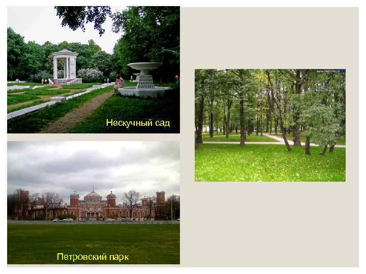Нескучный сад Петровский парк 