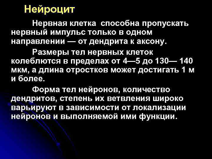 Нейроцит Нервная клетка способна пропускать нервный импульс только в одном направлении — от дендрита