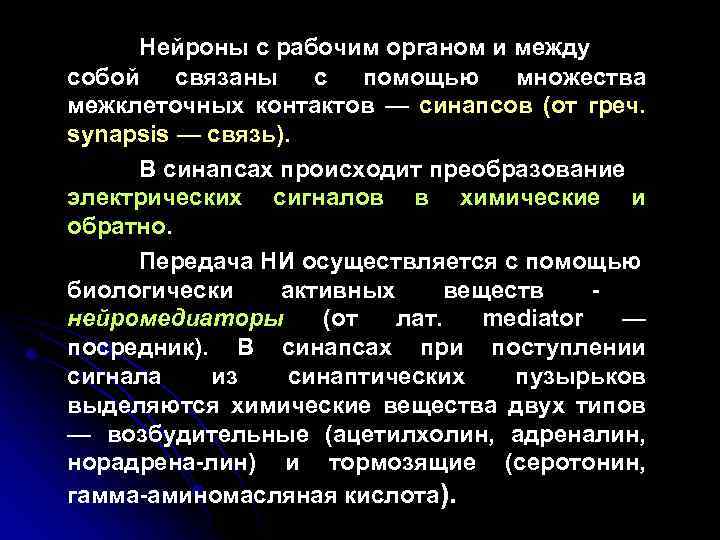 Нейроны с рабочим органом и между собой связаны с помощью множества межклеточных контактов —