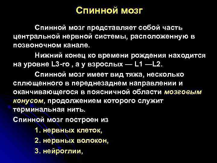 Спинной мозг представляет собой часть центральной нервной системы, расположенную в позвоночном канале. Нижний конец