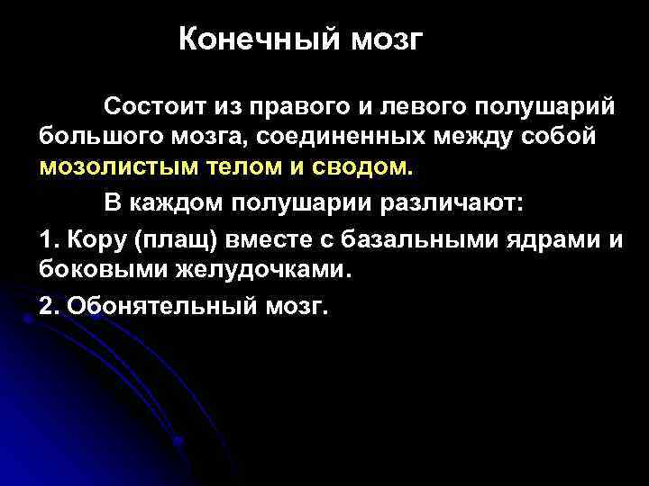 Конечный мозг Состоит из правого и левого полушарий большого мозга, соединенных между собой мозолистым