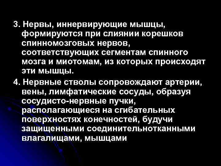 3. Нервы, иннервирующие мышцы, формируются при слиянии корешков спинномозговых нервов, соответствующих сегментам спинного мозга